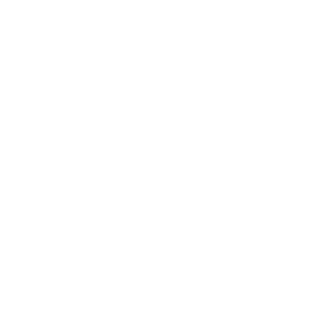 logo.white2_